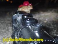 /home//u458753944/public_html/sourcegallery////Roxborough Toad Detour/2013-2019/2017/P4050682.JPG